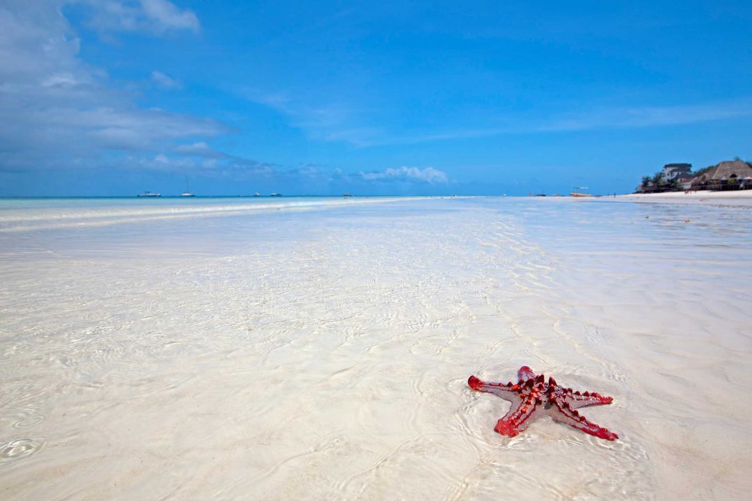 Natale a Zanzibar: spiagge, lagune e spezie