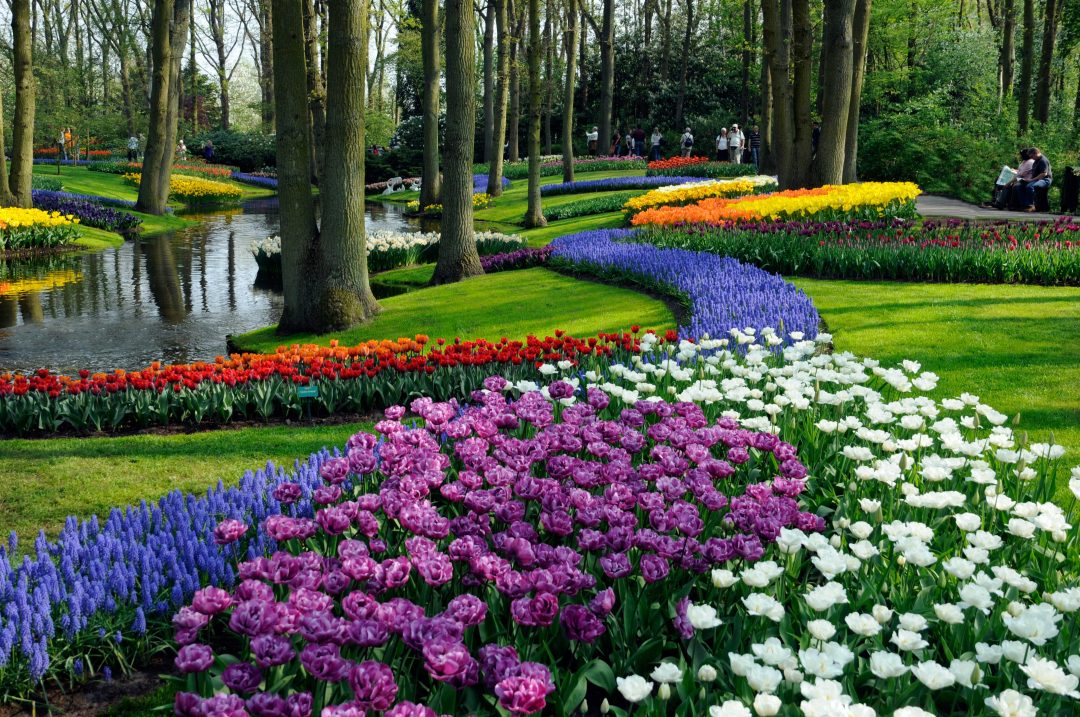 Weekend di primavera in Olanda