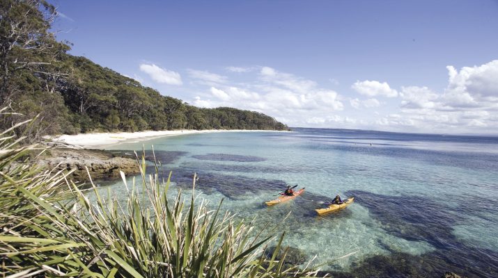 Foto Australia tra spiagge, canguri e ostriche