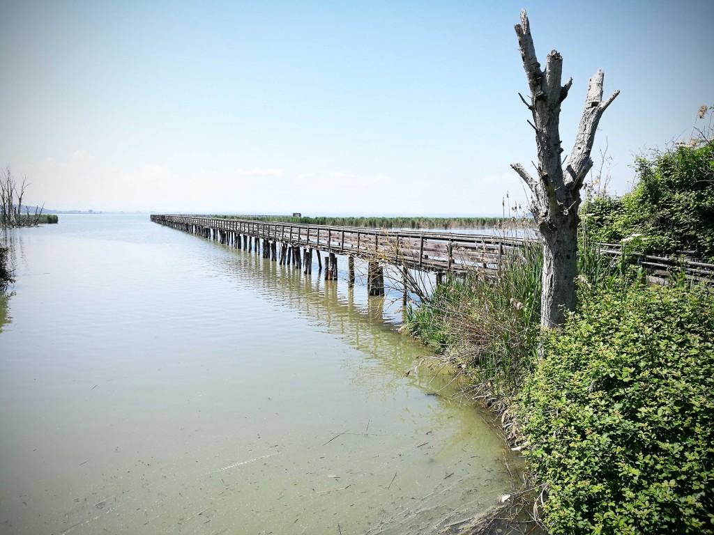 Oasi-la-Valle-passerelle-che-portano-ai-canneti