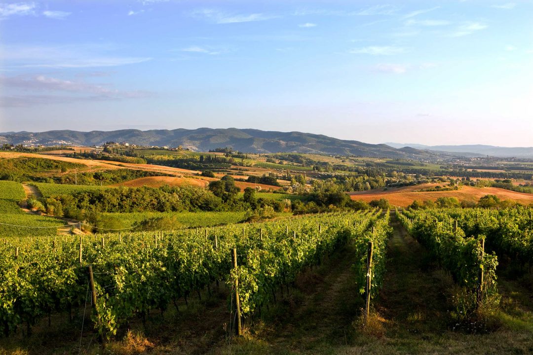 Le Tre Vaselle, wine resort in Umbria