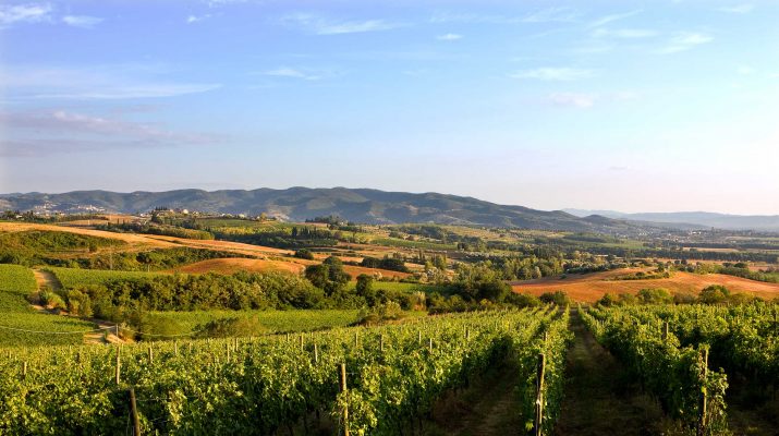 Foto Le Tre Vaselle, wine resort in Umbria