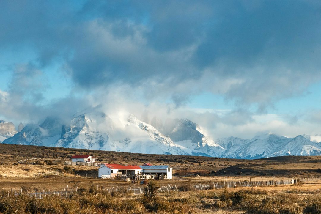Patagonia: ai piedi delle Torres del Paine