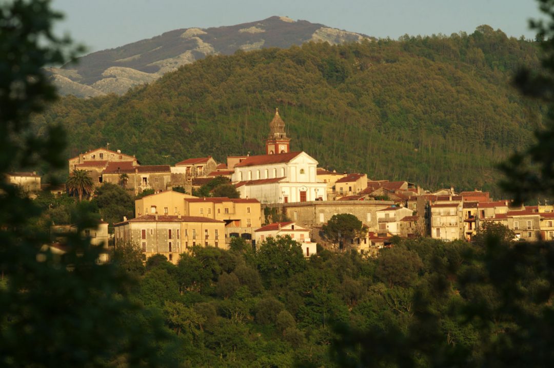 Campania