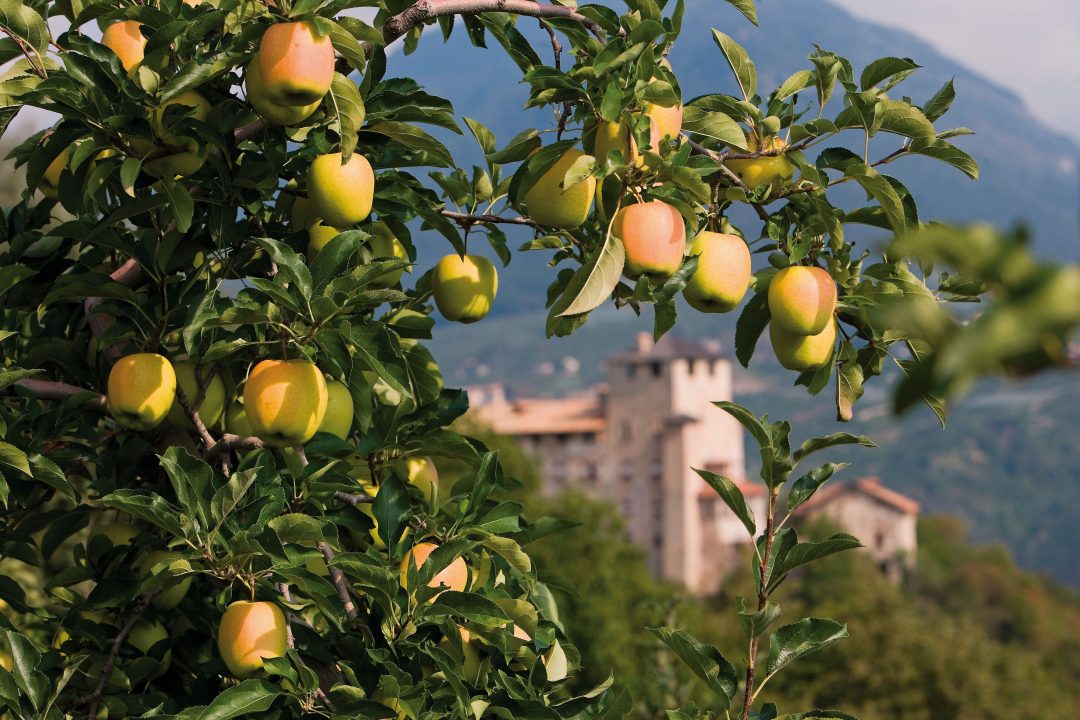 Italia: autunno di sagre