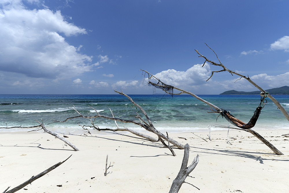 Seychelles, isole da salvare