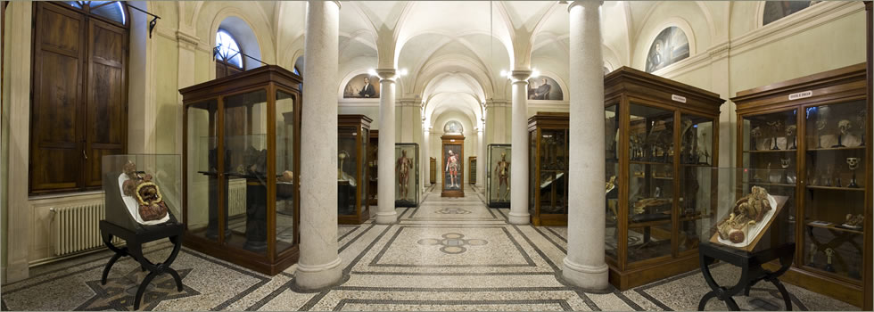 Museo di Anatomia umana - Torino