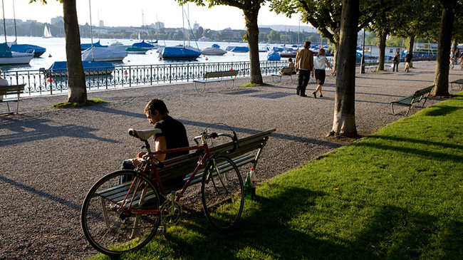 Da Auckland a Zurigo: le città più verdi