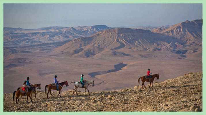 Foto Israele: viaggio nel deserto del Negev