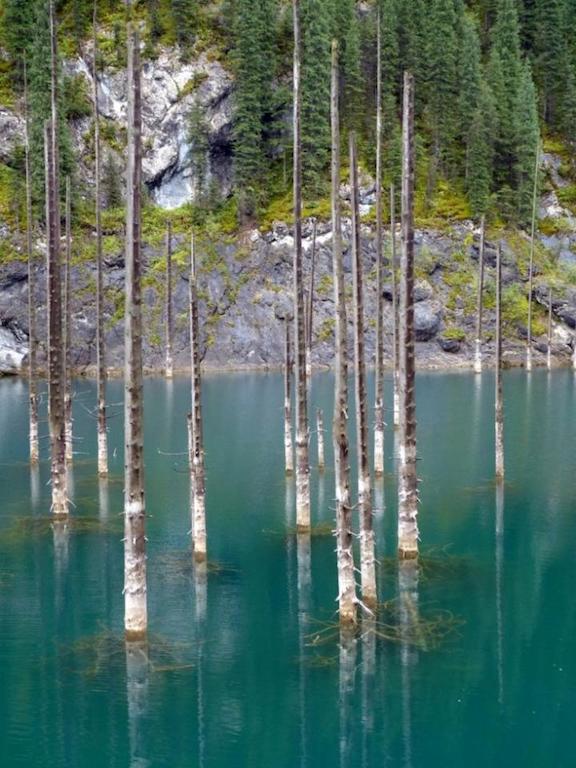 Kazakistan: la spettacolare foresta sommersa del Lago Kaindy