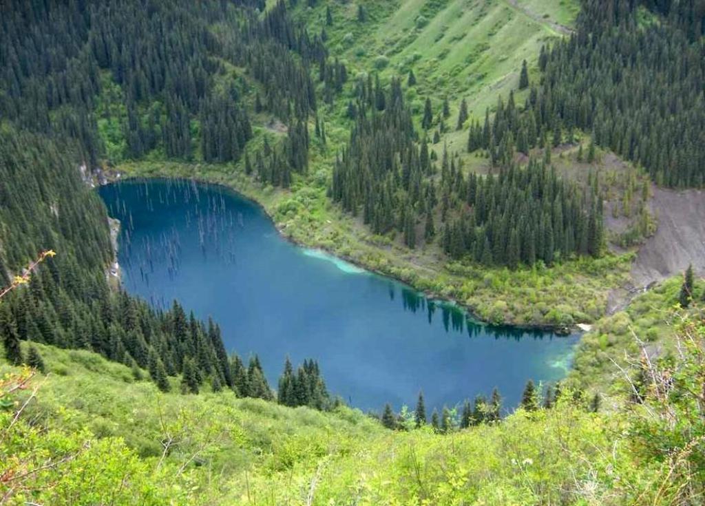 Kazakistan: la spettacolare foresta sommersa del Lago Kaindy