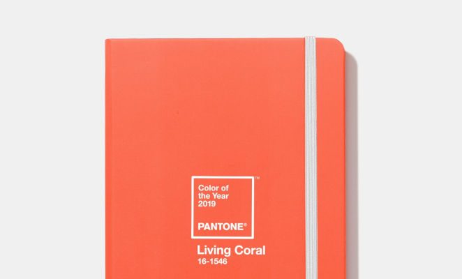 Foto Gli accessori da viaggio nel colore living coral del 2019