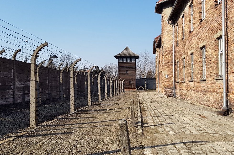Tour guidato del museo e memoriale di Auschwitz-Birkenau (Polonia)