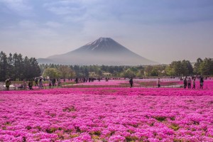 Giappone, 30 scatti che ve lo faranno amare