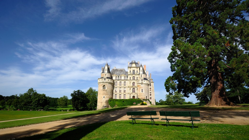  Photo Château de Brissac