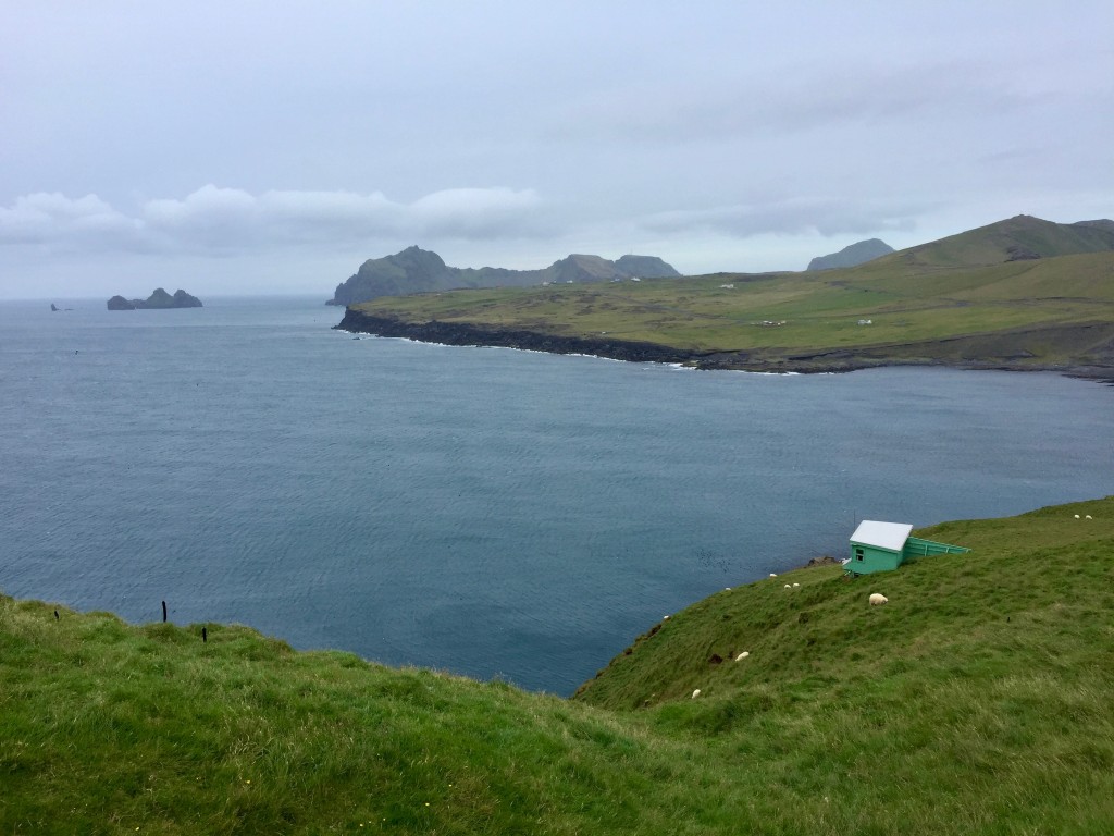 La penisola di Stórhöfði, uno dei luoghi più ventosi d’Europa, sull'isola di Heimaey: è la propaggine meridionale dell’isola nonché il punto di osservazione migliore per guardare da vicino i pulcinella di mare