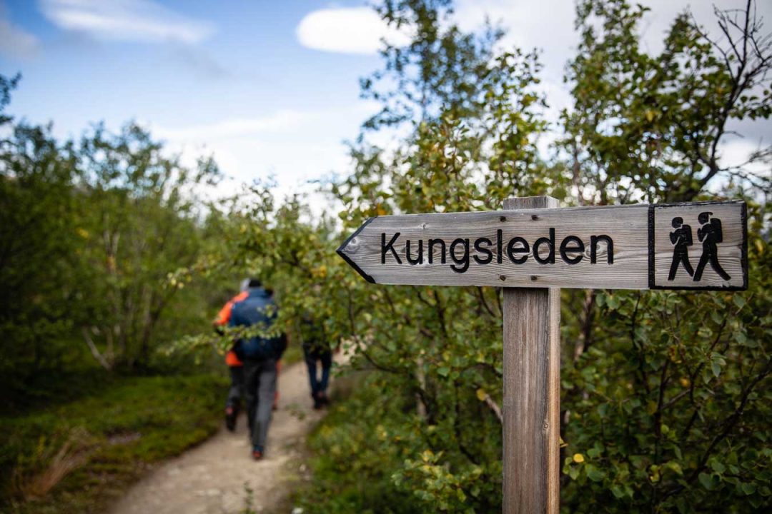 Trekking svedese
