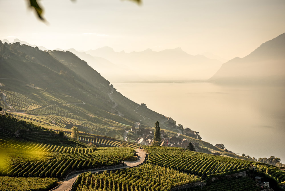 Svizzera, vacanze green in treno e a piedi