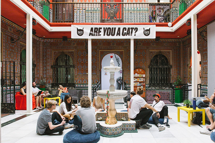 Cat's, Madrid
