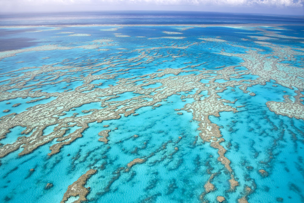 Grande Barriera Corallina, in Australia