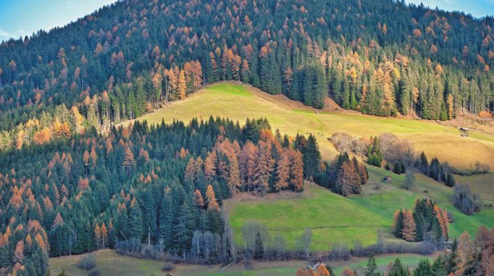 Foto In Alto Adige, la magia dell'autunno