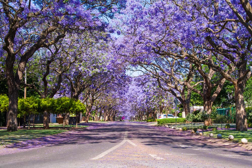 Pretoria, Sudafrica