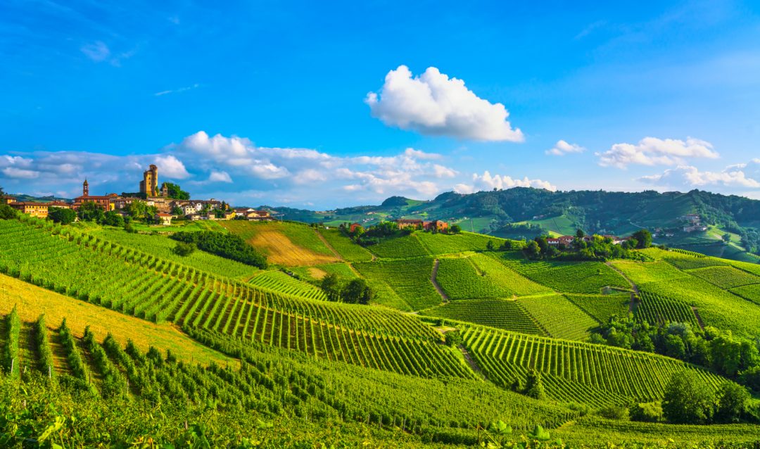 Paesaggi vitivinicoli del Piemonte: Langhe-Roero e Monferrato (2014)