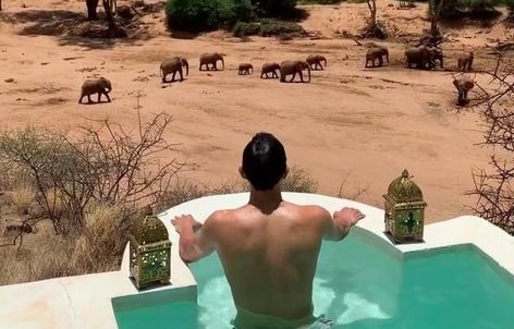 Kenya: la straordinaria piscina con vista sulla savana e gli elefanti