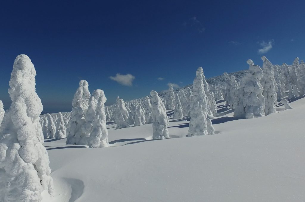 I mostri di neve sul Monte Zao, località sciistica del Tohoku, in Giappone