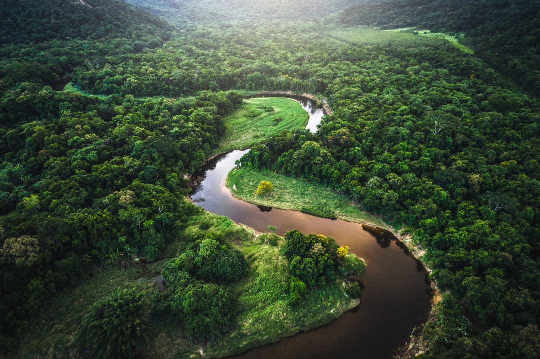  Foresta atlantica, Brasile