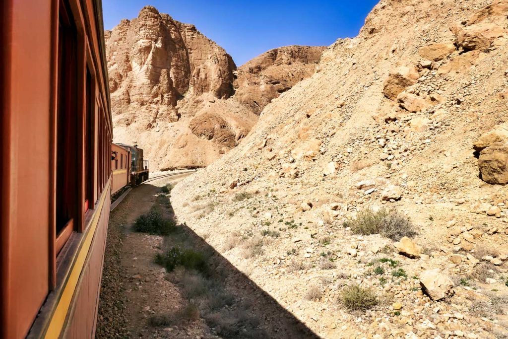 treno Lucertola rossa in Tunisia
