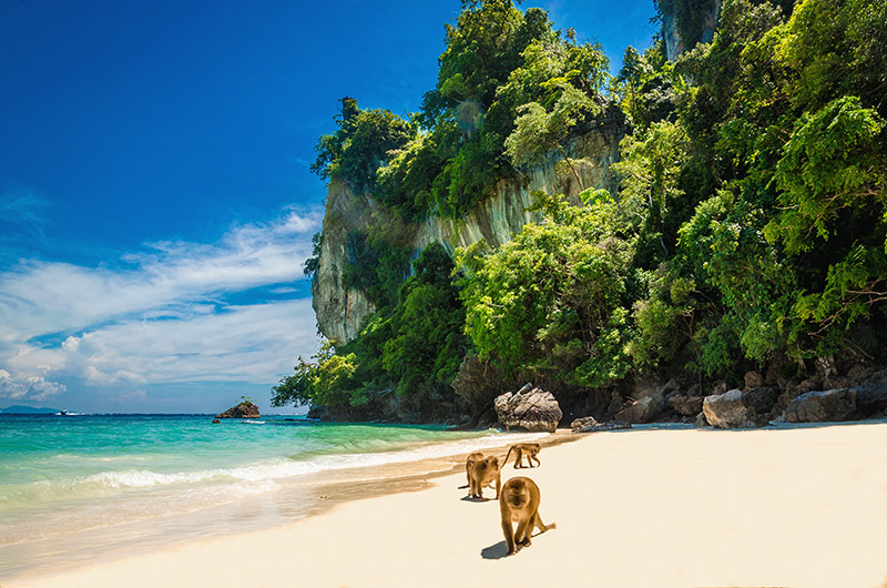 Phi phi Island, Thailandia