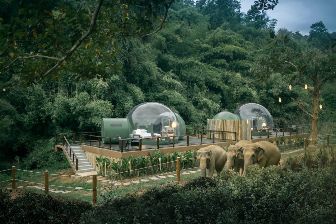 Thailandia: in questo resort si dorme in una bolla tra gli elefanti (senza disturbarli)