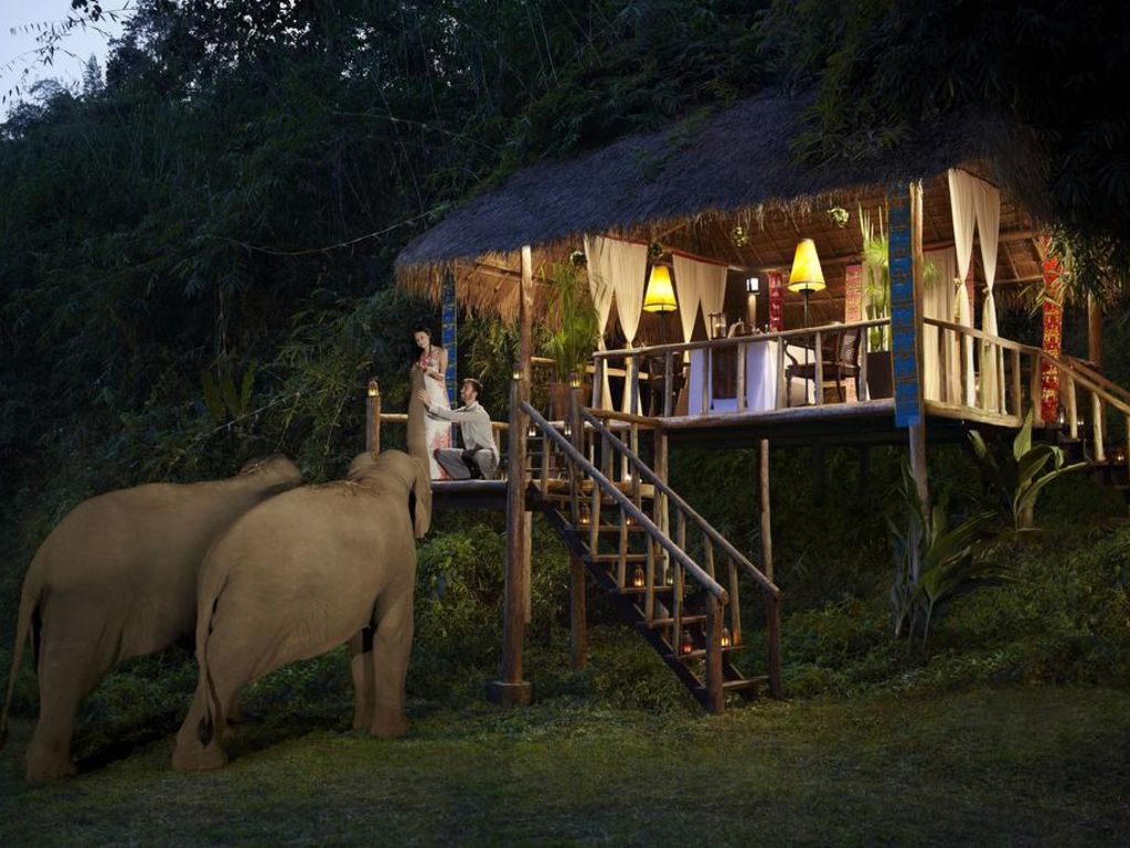 Thailandia: in questo resort si dorme in una bolla tra gli elefanti (senza disturbarli)