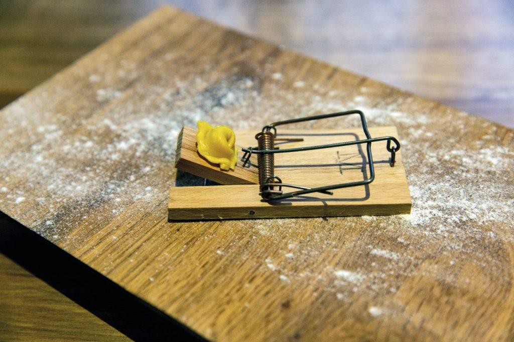 Il ristorante Marta in Cucina di Reggio Emilia propone il cappelletto crudo sulla trappolina. 