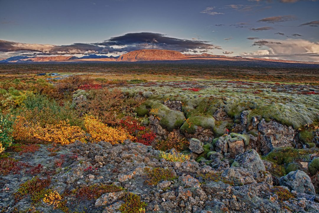 Parco Nazionale del Þingvellir, Islanda