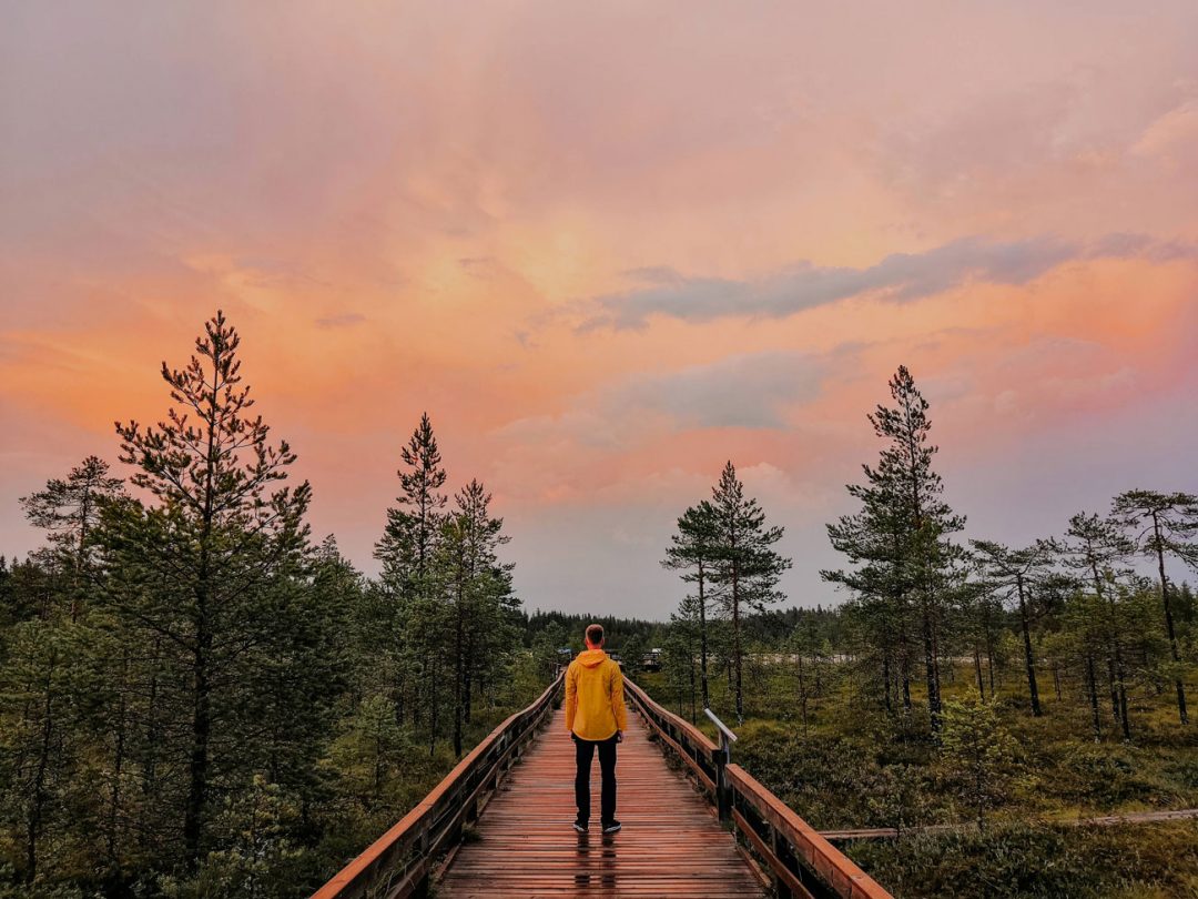 Parco Nazionale di Seitseminen, Finlandia