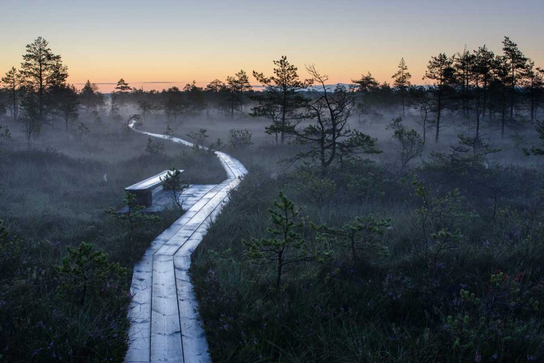 Parco Nazionale Soomaa, Estonia