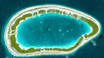 Isola di Tuamotu