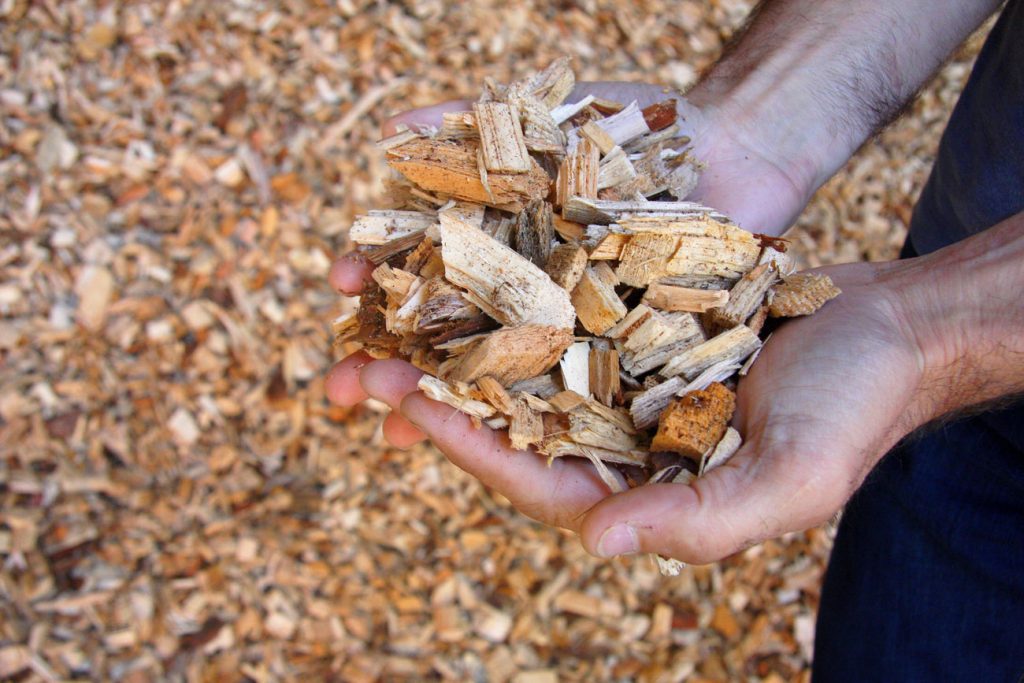 Legno di scarto usato per la caldaia a biomassa