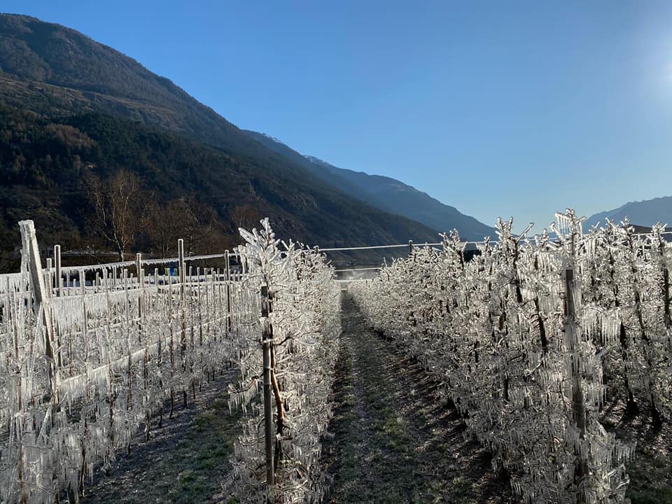 In Alto Adige i “fiori di ghiaccio” danno spettacolo