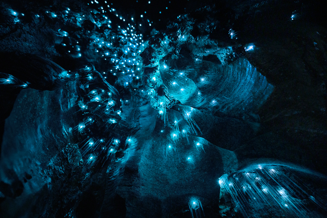 Nuova Zelanda: lo spettacolo del cielo stellato nelle grotte Waitomo