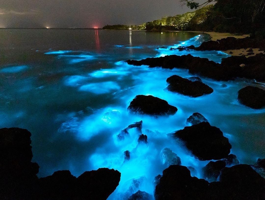 La bioluminescenza di Jervis Bay, Nuovo Galles del Sud