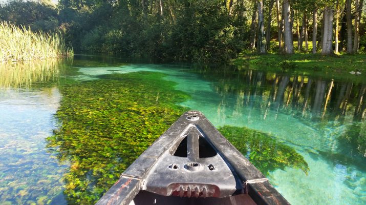 Foto Gite fuori porta in kayak e canoa: 10 idee