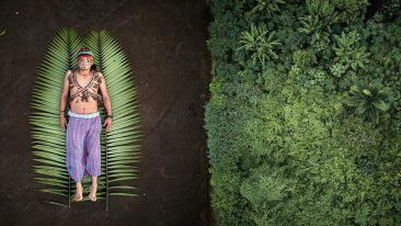 Nella serie vincitrice "Seeds of Resistance" l’istantanea del giovane indigeno Nantu, che gestisce i traghetti a energia solare in Ecuador, e a destra la sua casa, la foresta pluviale di Achuar (ph: Pablo Albarenga)