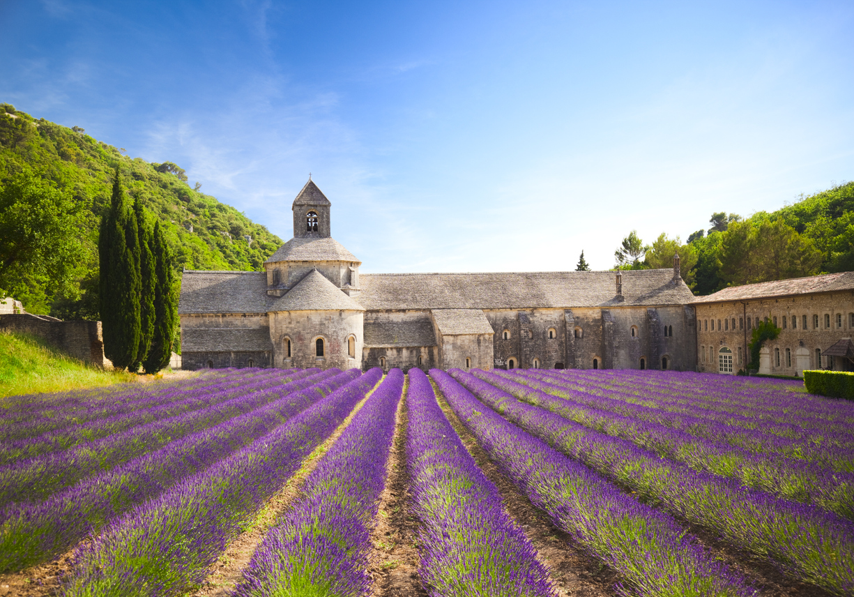 L'abbazia cistercense di Senanque, fondata nel 1148 e circondata dai campi di lavanda, che all’inizio dell’estate danno spettacolo con la loro prepotente fioritura (Istockphoto)