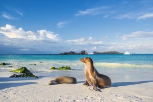 Le 10 isole più belle del mondo (dove tutti vorremmo andare)