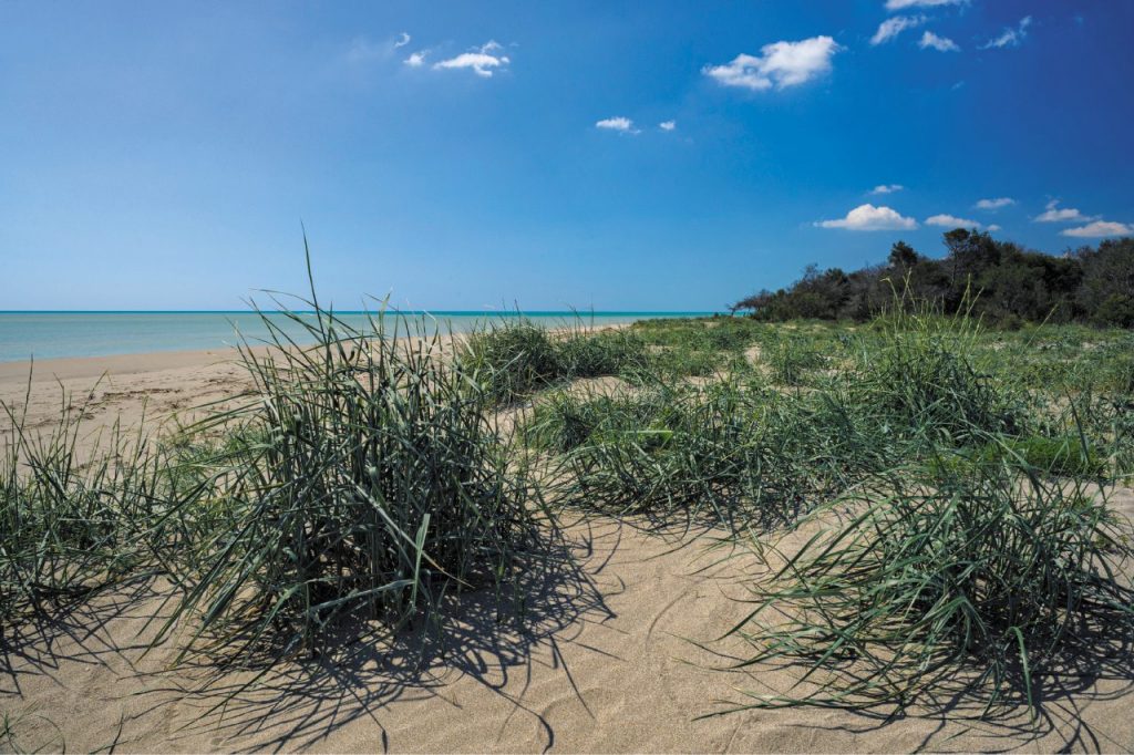 policoro-spiaggia di sabbia