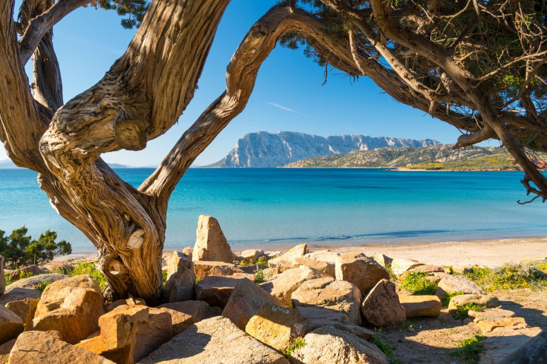 Spiagge Sardegna, le più belle da scoprire