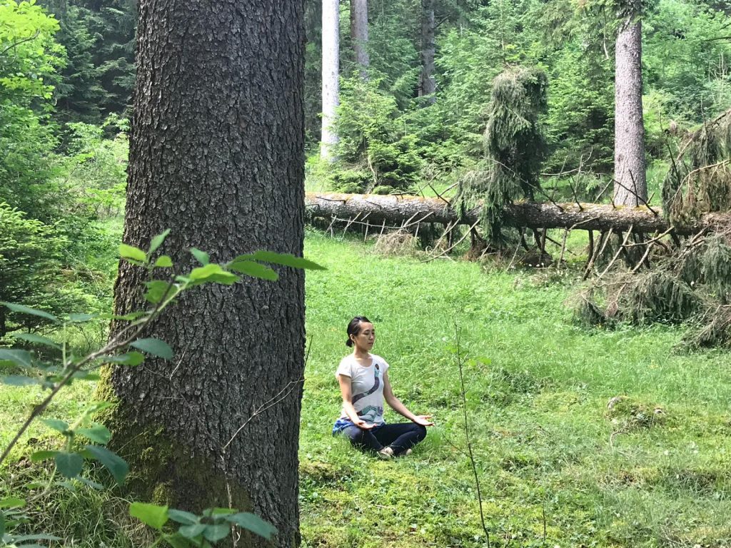 Yoga nella foresta con la maestra Alissa Shiraishi, nella natura della valle di Comano.